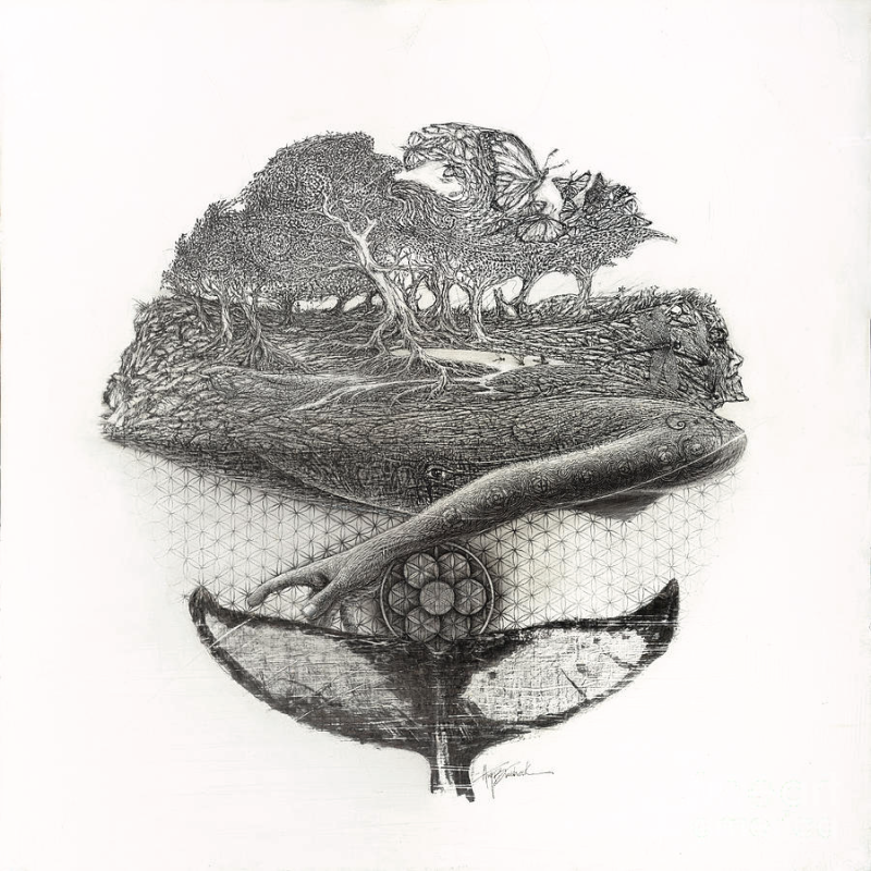 Evolution of Consciousness by artist Guy Burchak